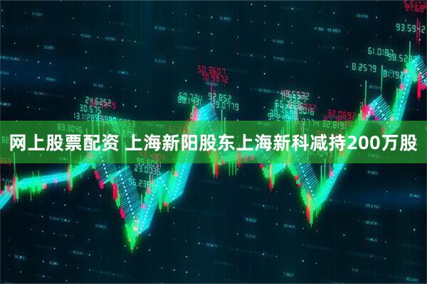 网上股票配资 上海新阳股东上海新科减持200万股
